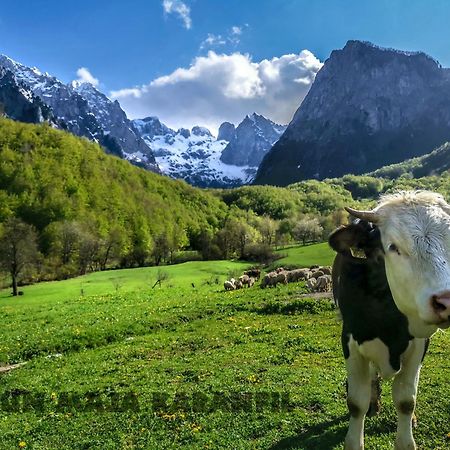 Bungalows Katun Maja Karanfil Gusinje Zewnętrze zdjęcie